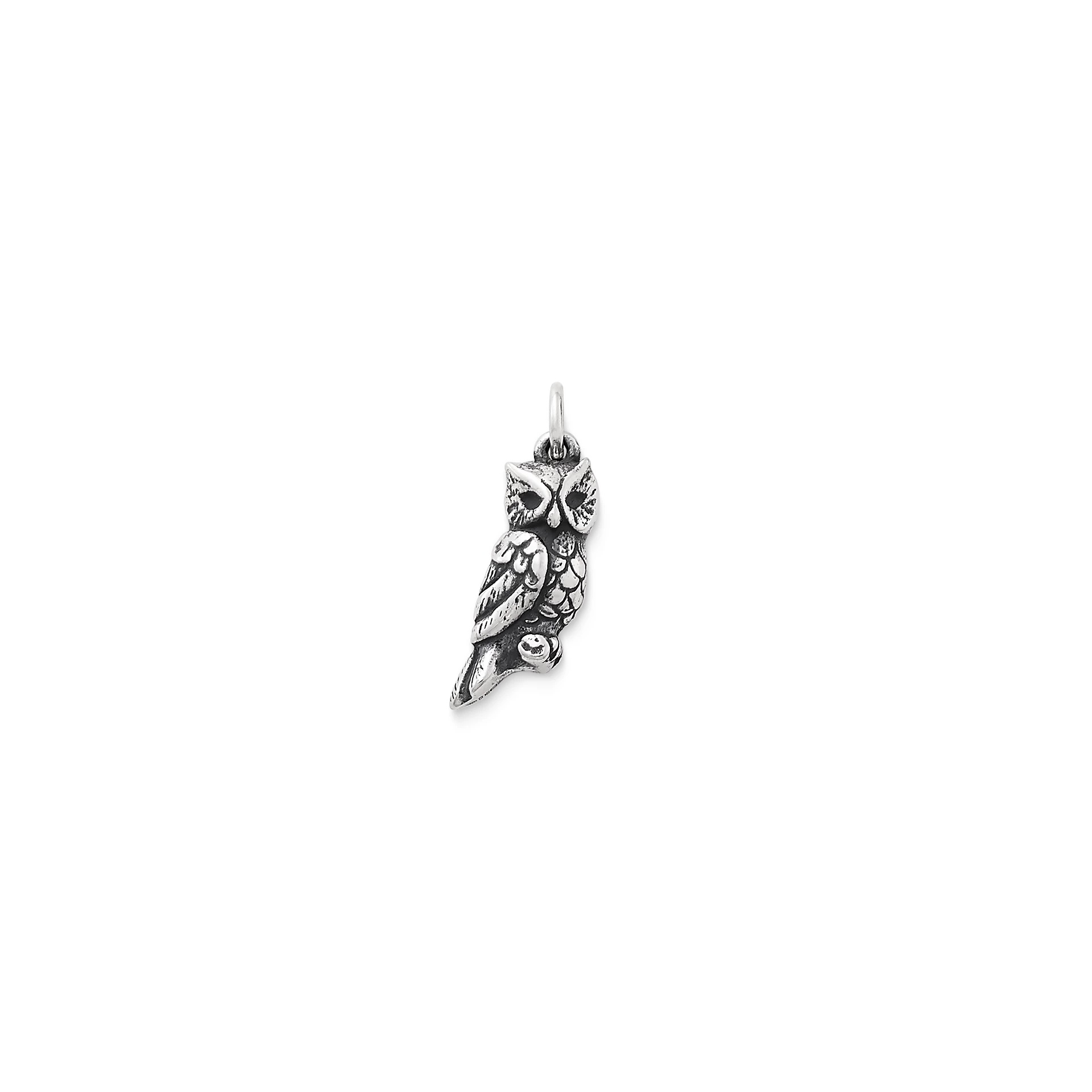 Sculpted Owl Charm