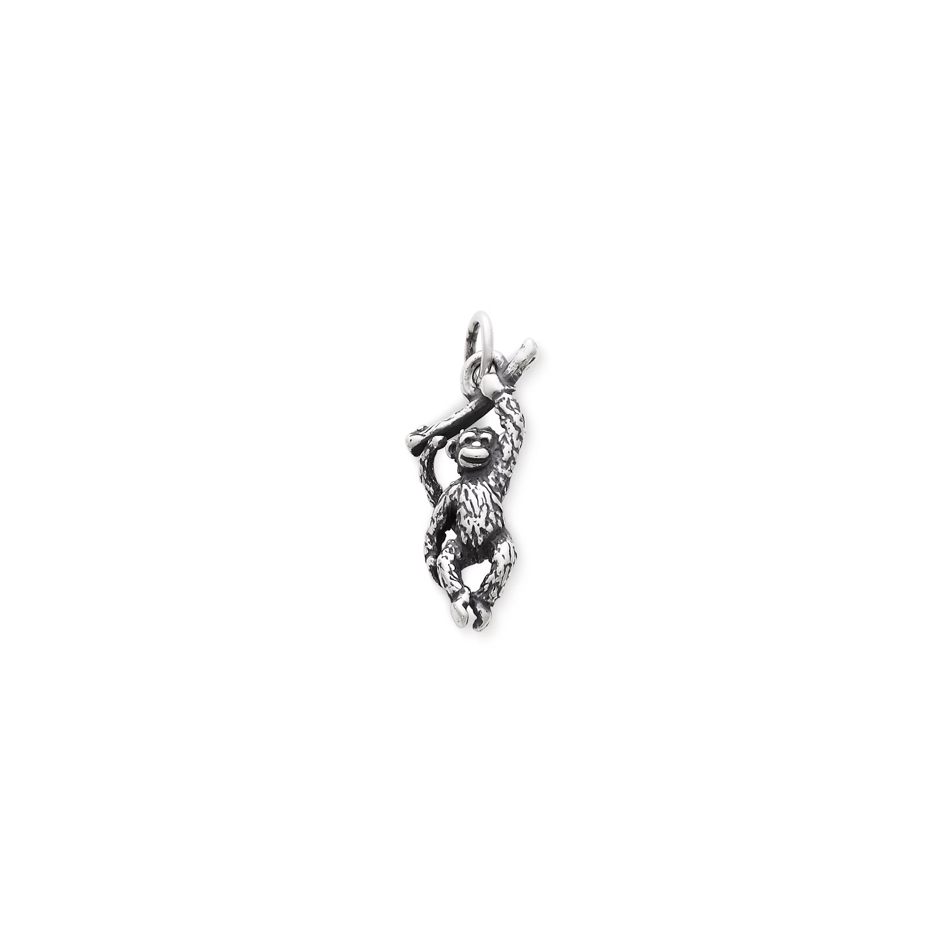 Monkey Charm