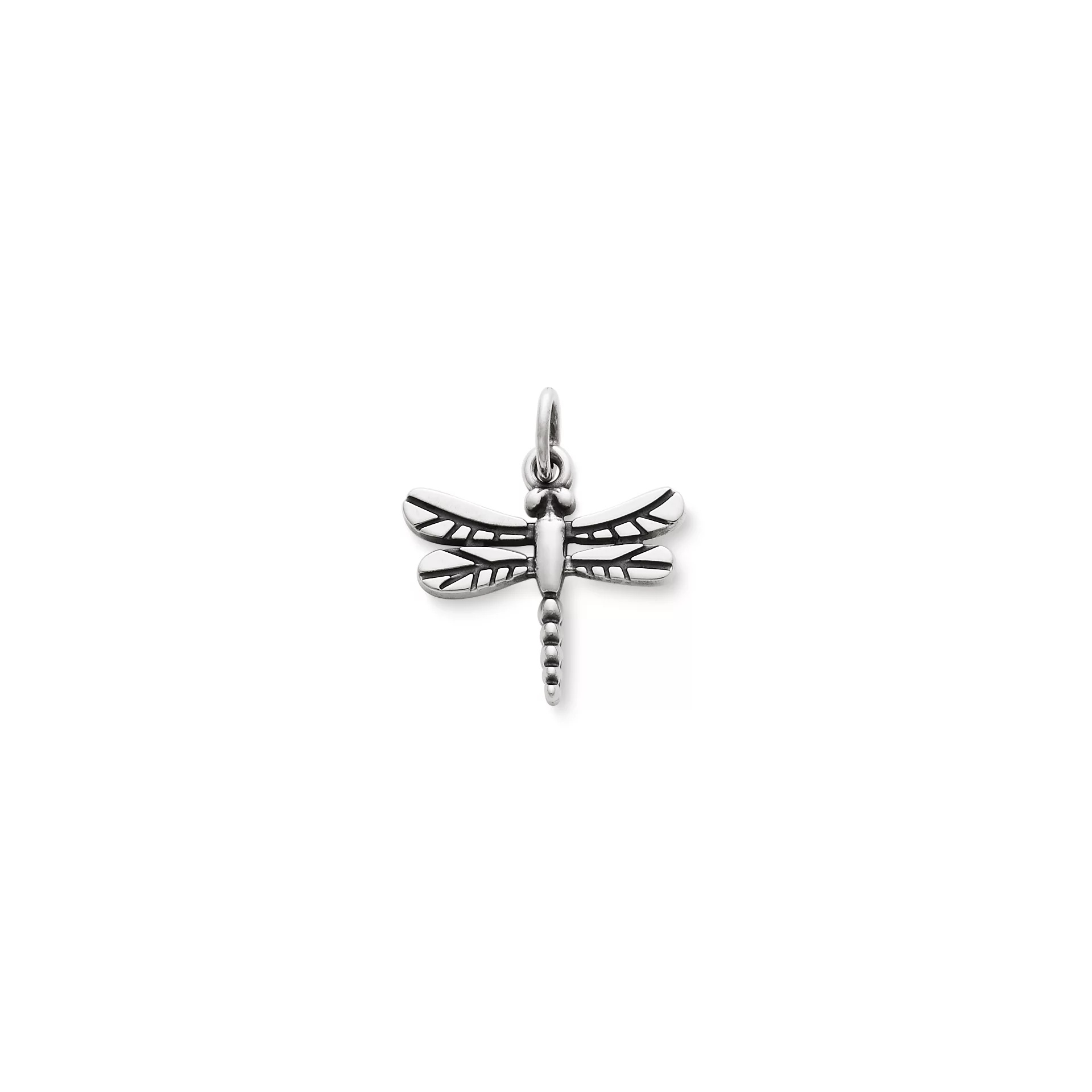 Dragonfly Charm