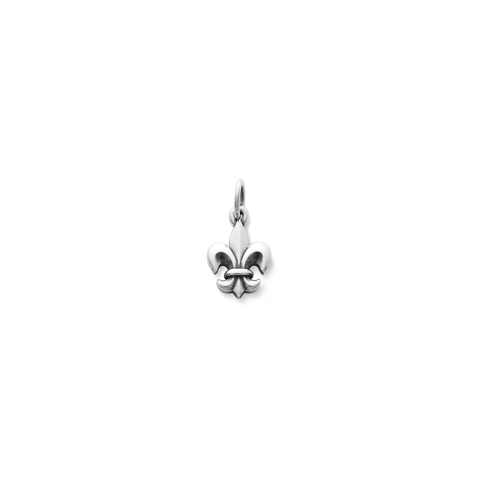 Fleur-De-Lis Charm