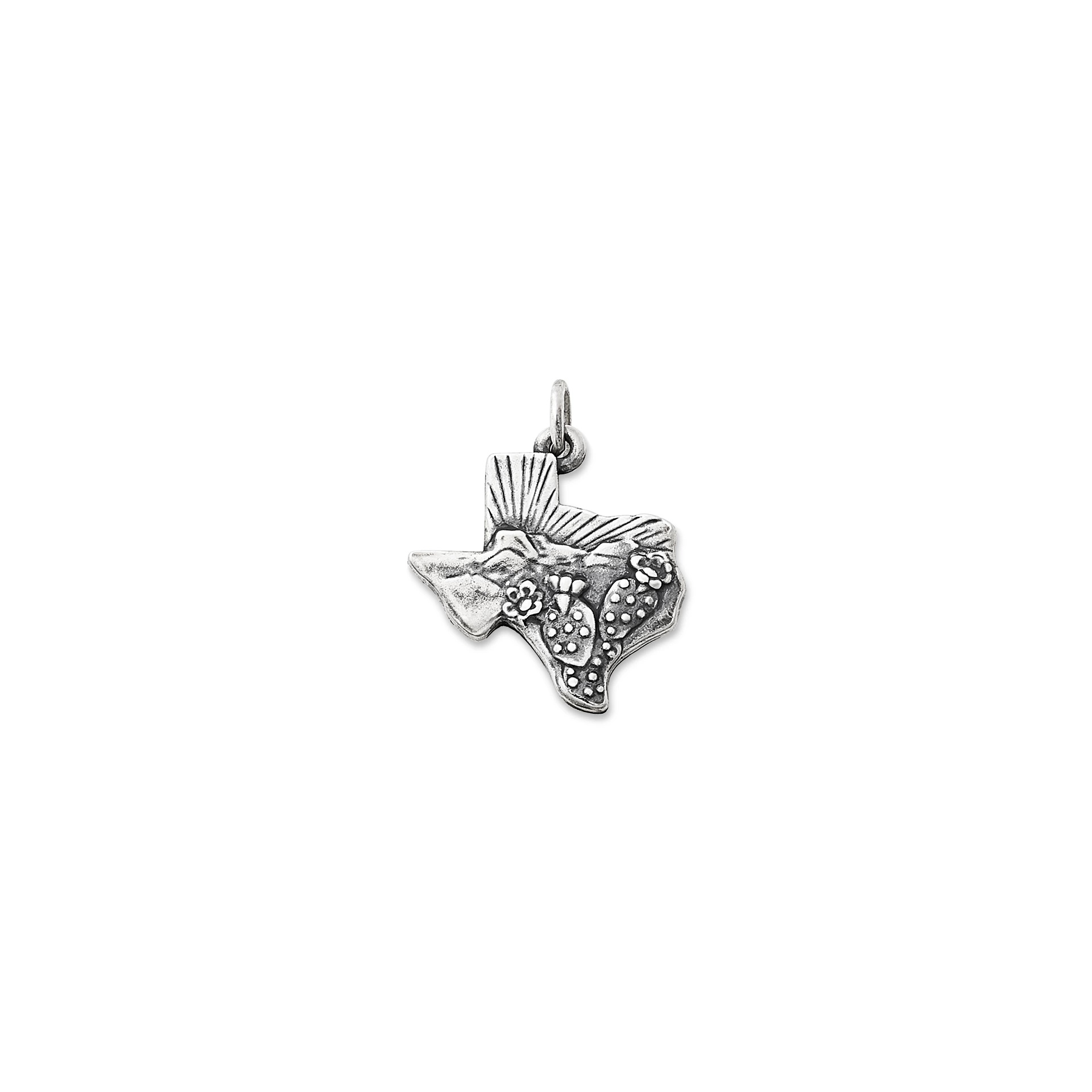Texas Landscape Charm