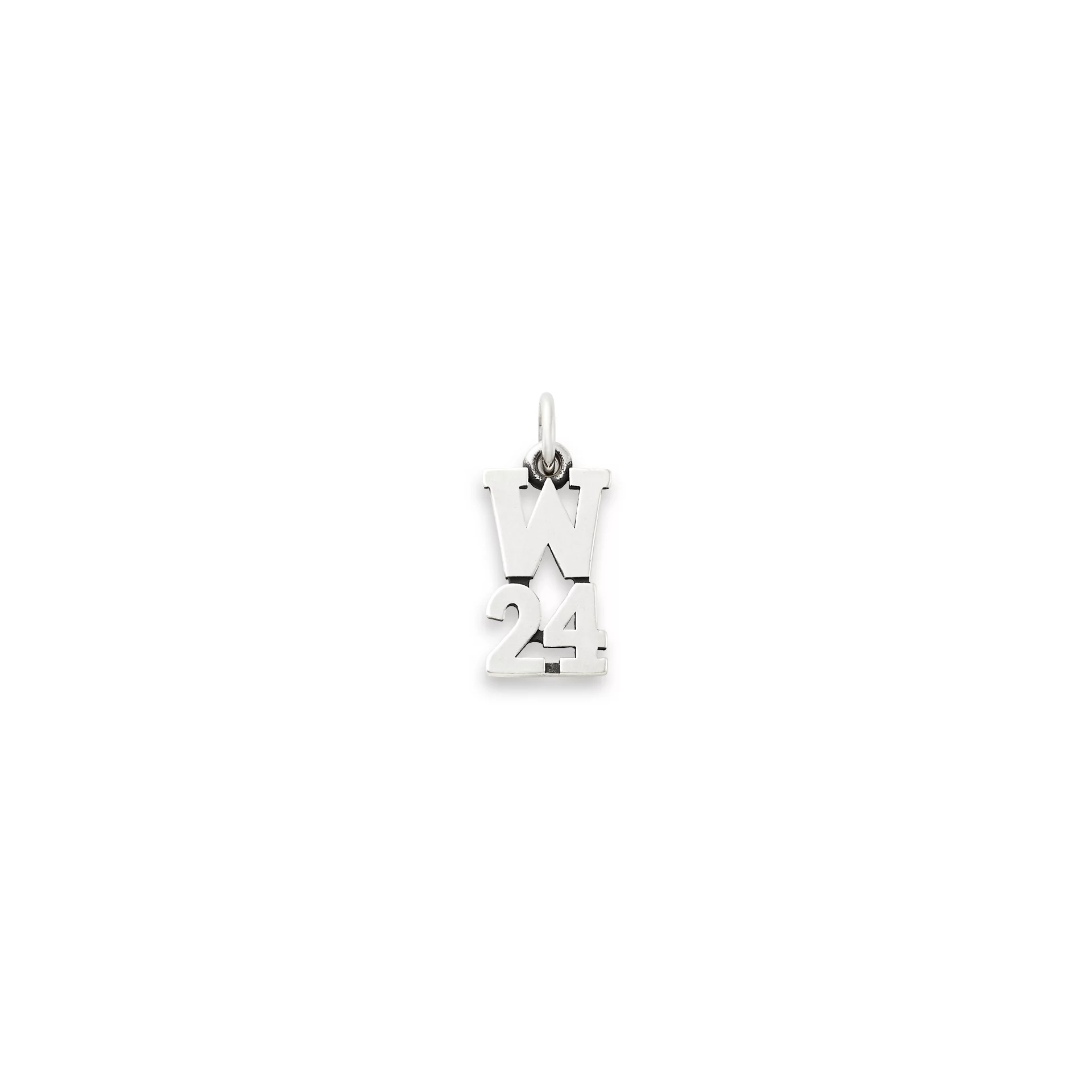 Camp Waldemar 2024 Charm
