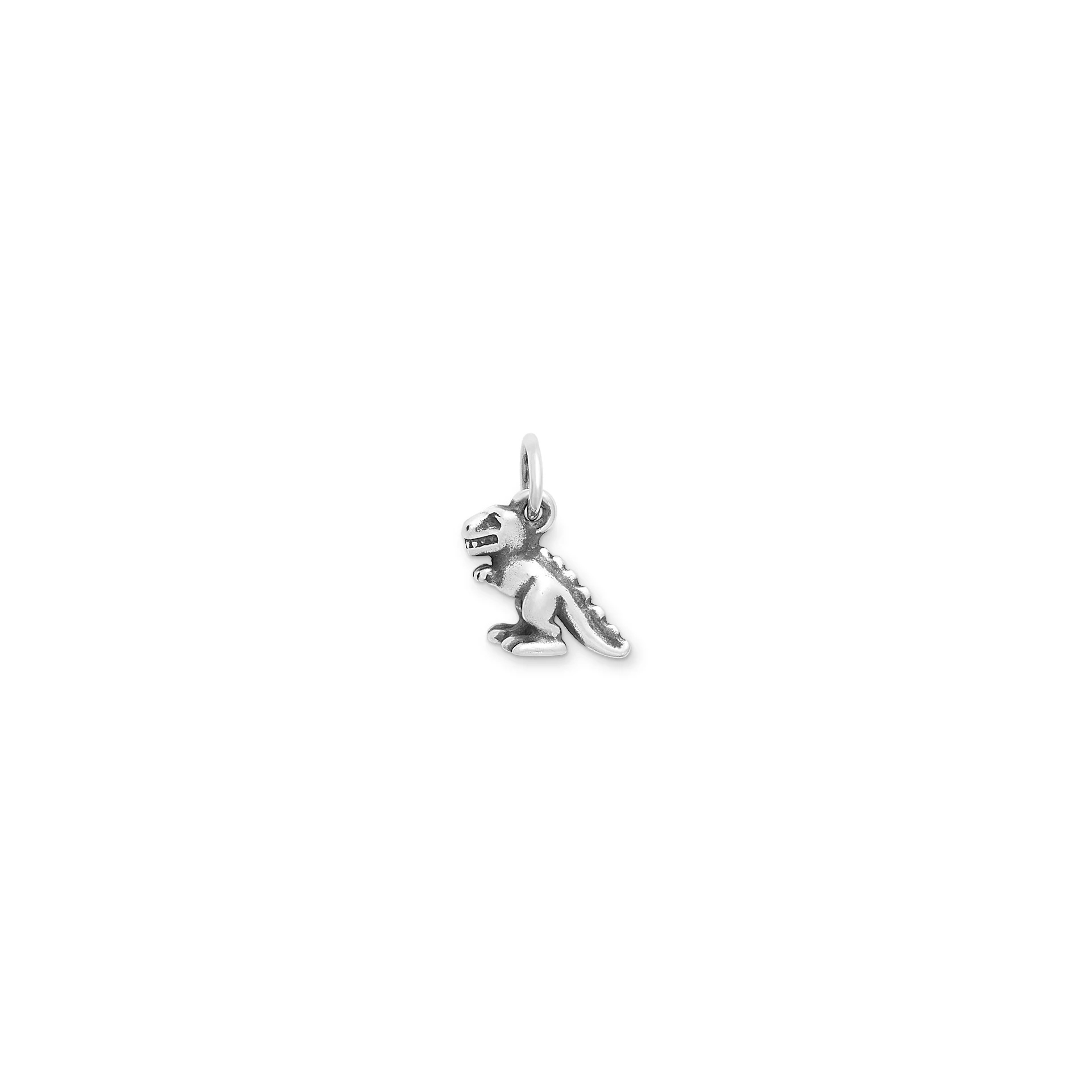 Tiny T.rex Charm
