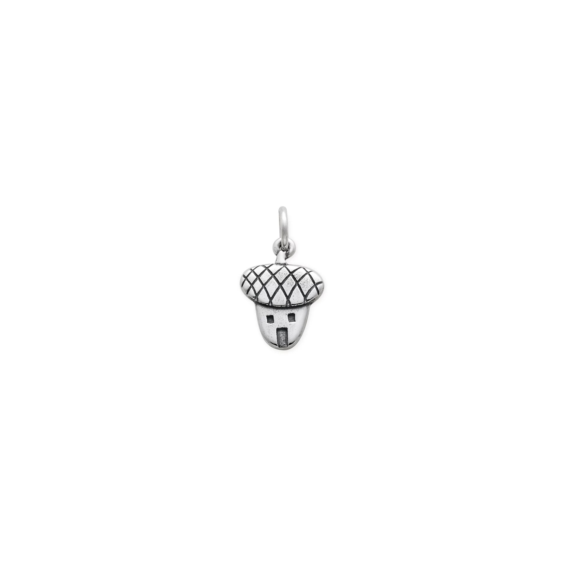 Mystic Nut Hut Charm