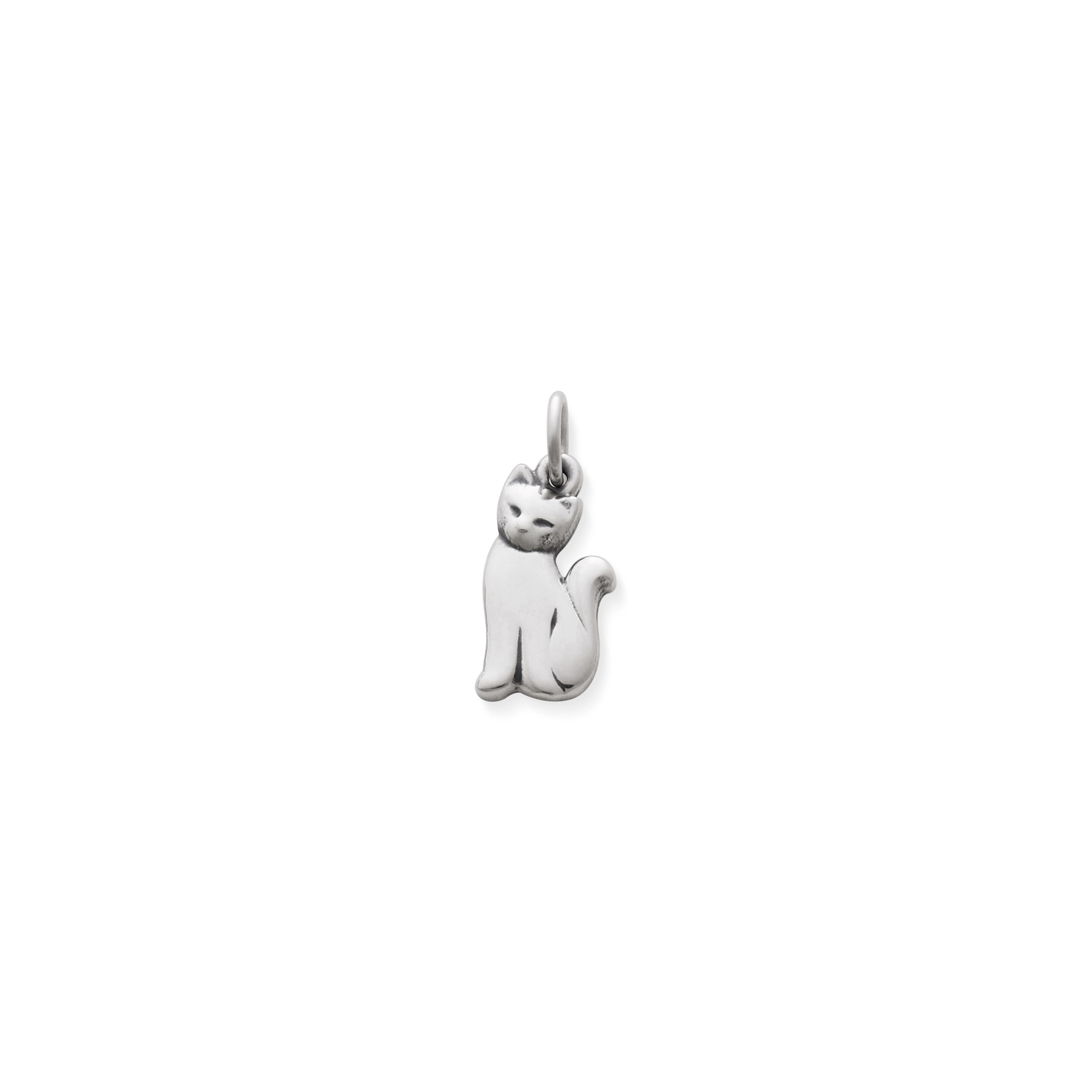Cat Charm