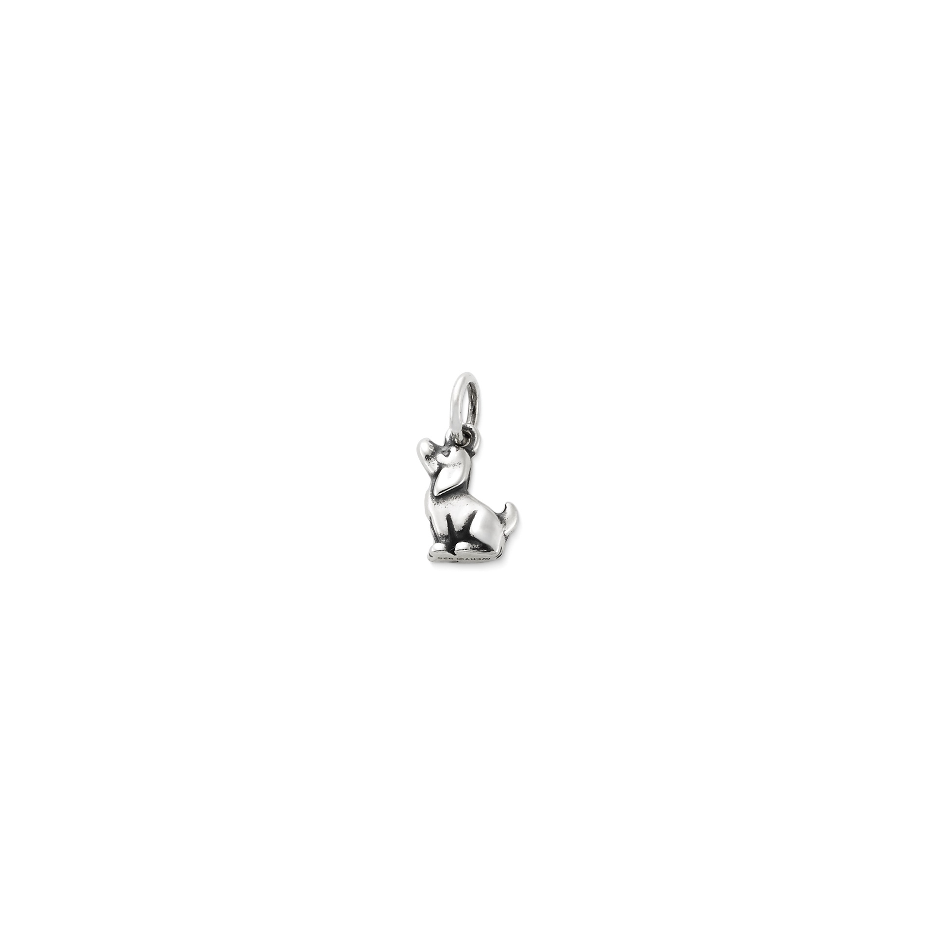 Pint-Sized Puppy Charm