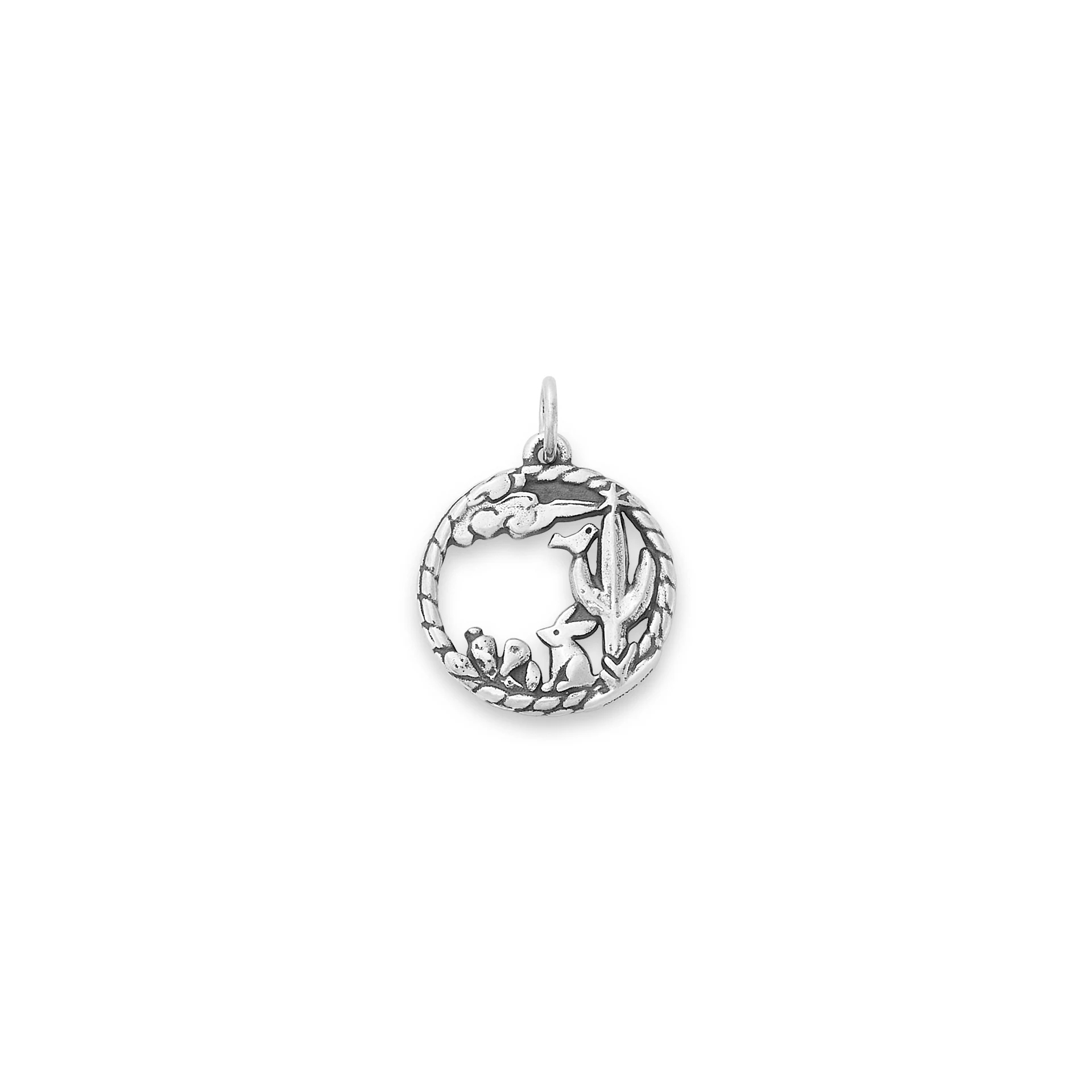 Desert Landscape Charm