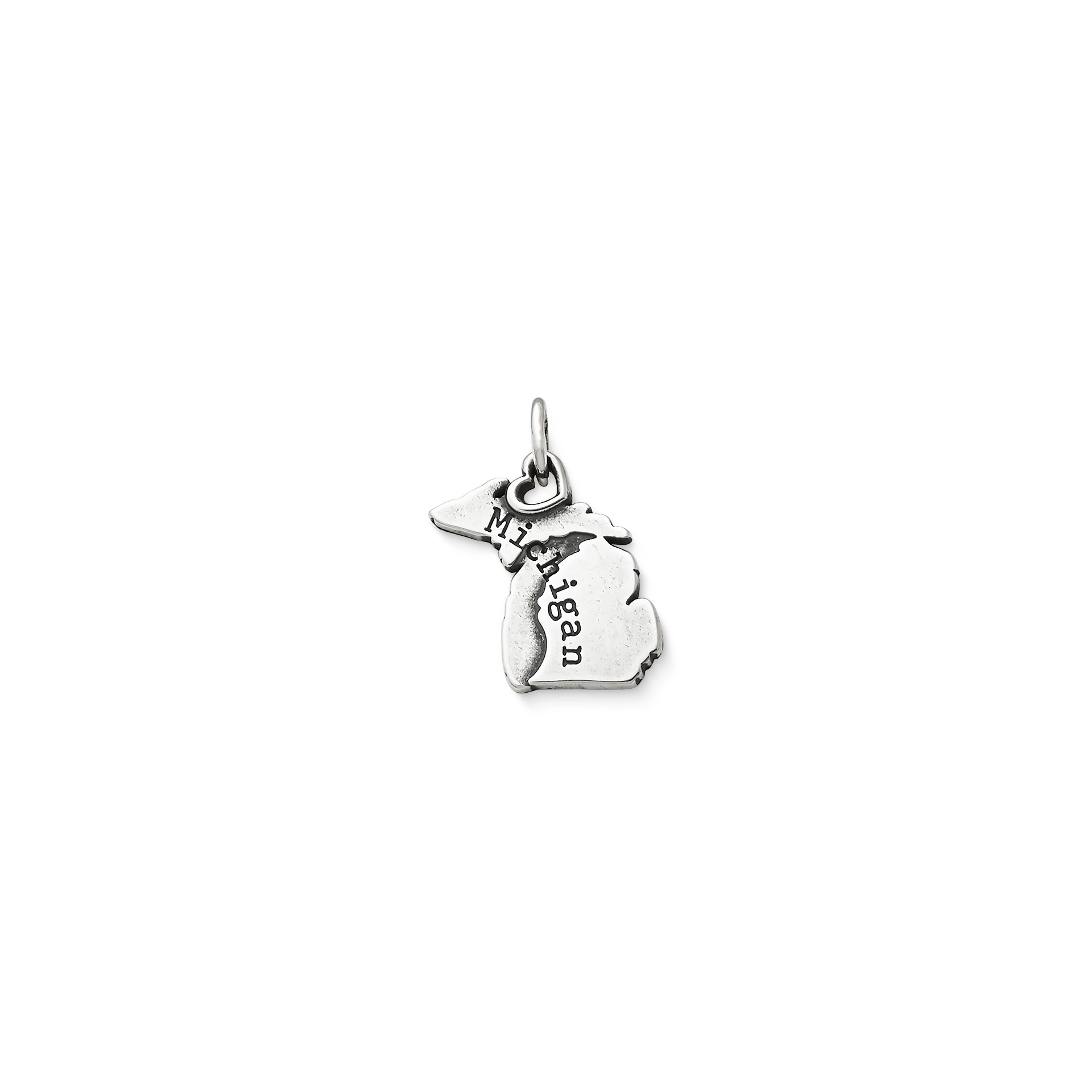 My "Michigan" Charm