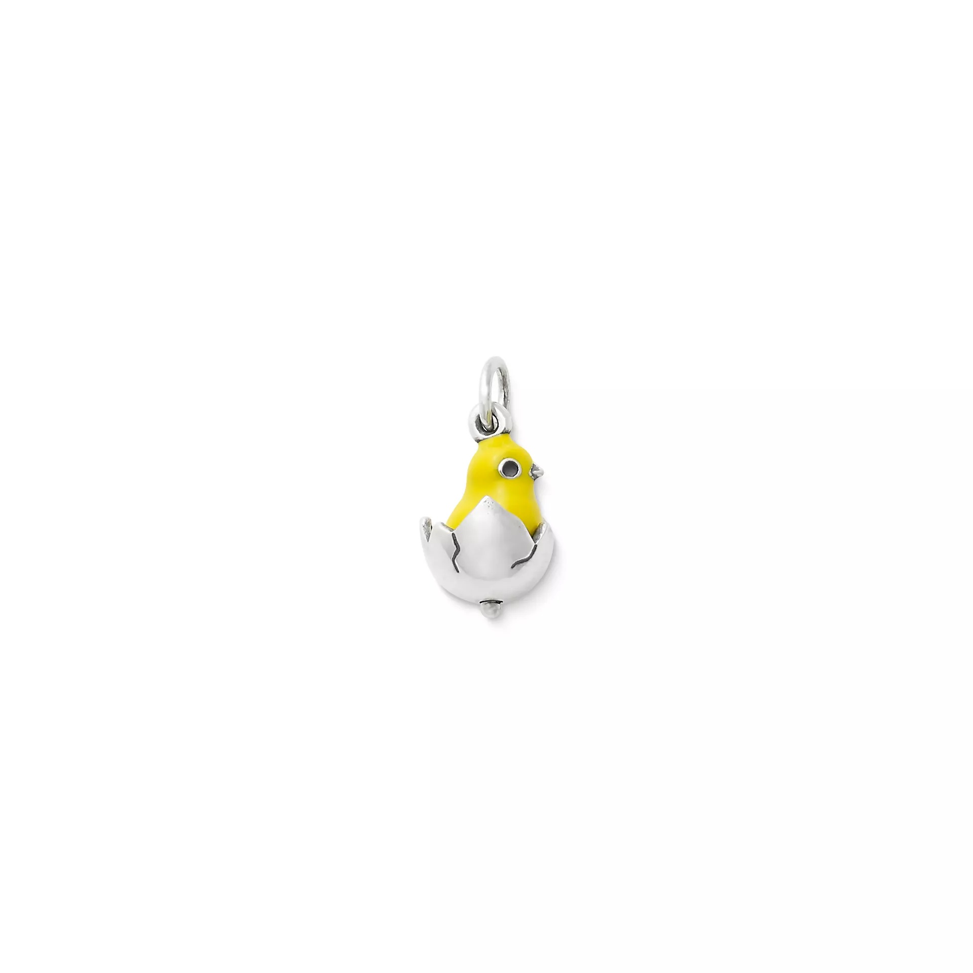 Enamel Chicks Rule Charm