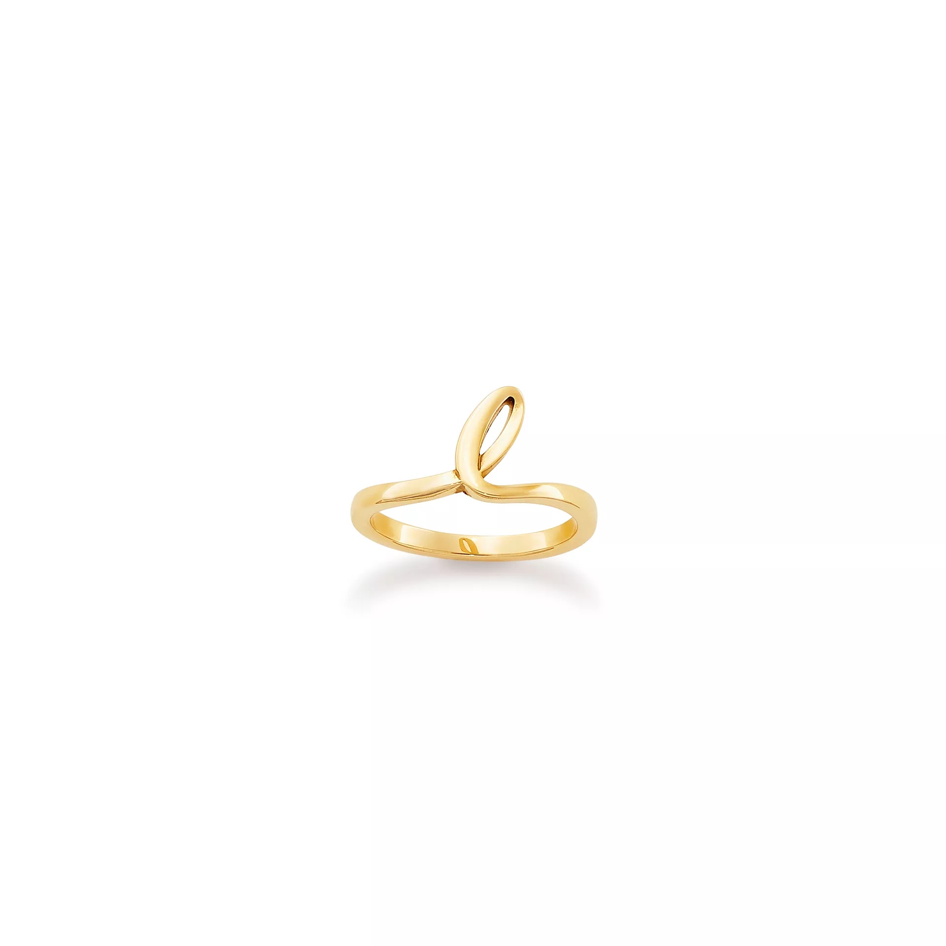 Script Initial Ring