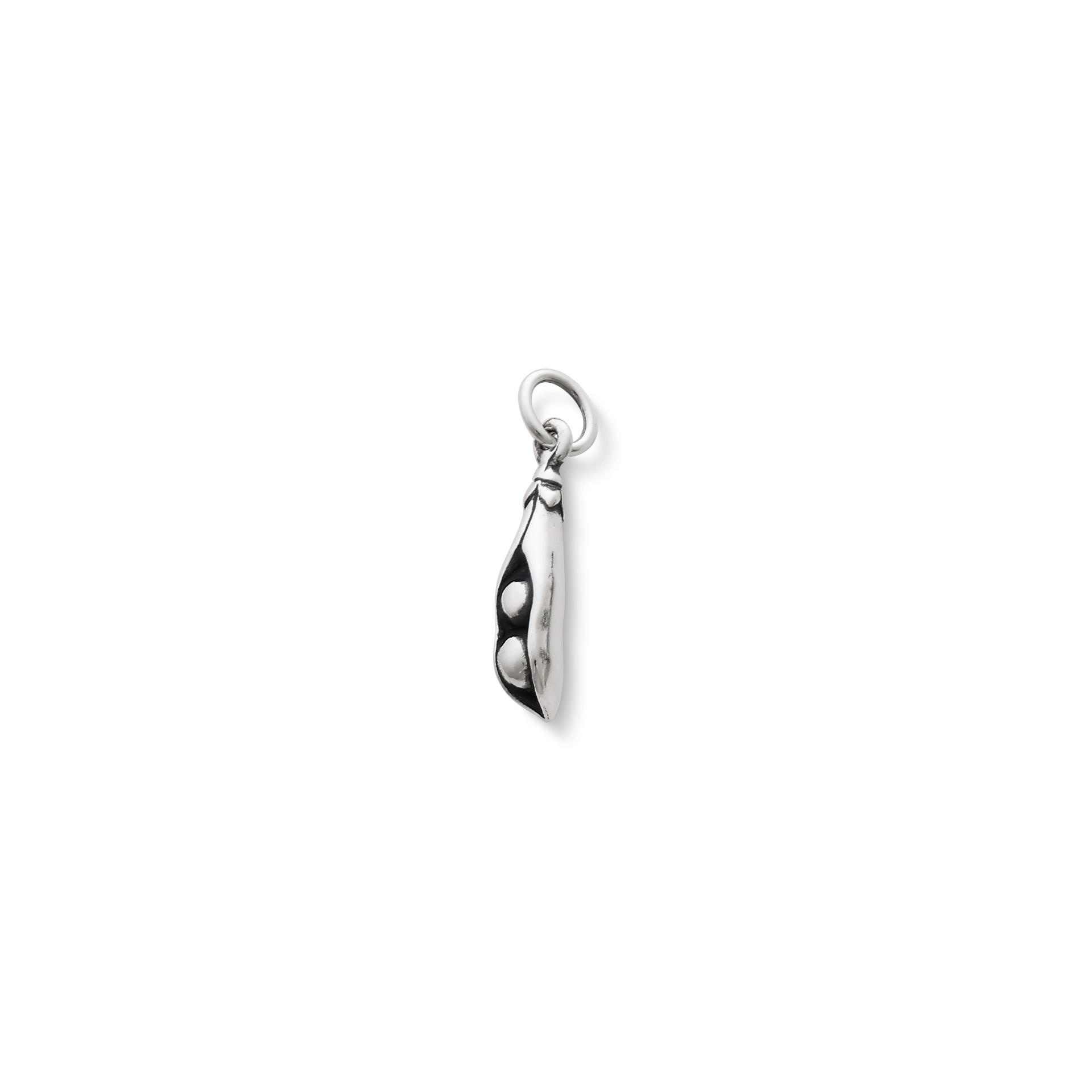 Two Peas in a Pod Charm