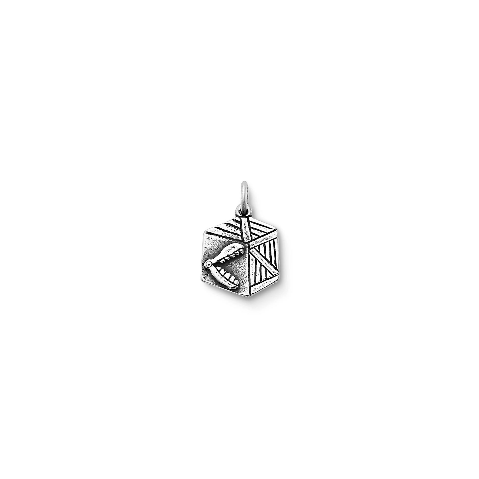 Chatter Box Charm
