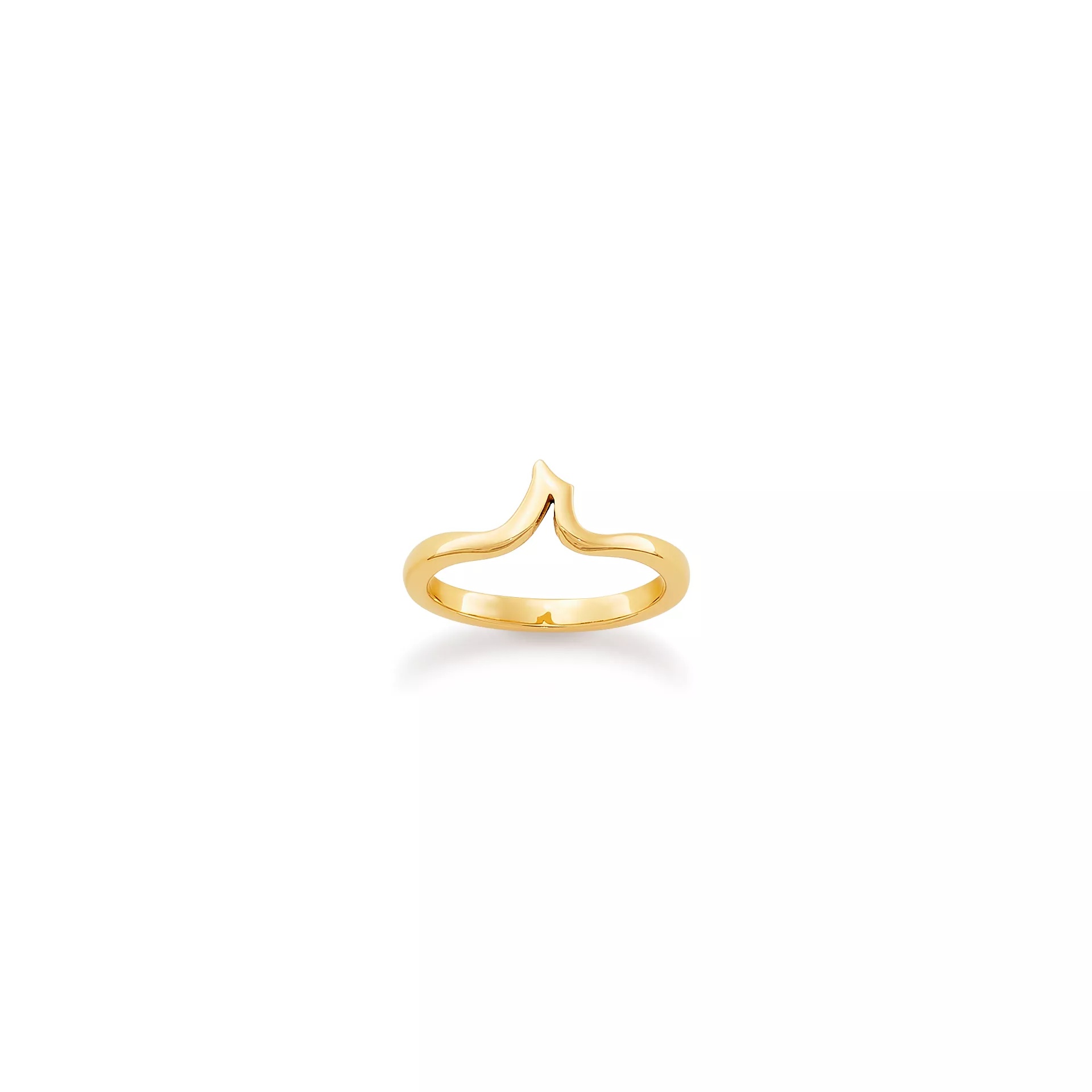 Script Initial Ring